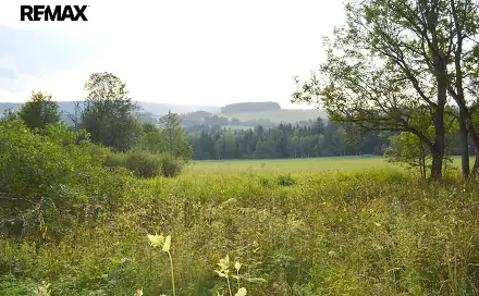 Prodej pozemku 8 040 m², Borová Lada, okres Prachatice