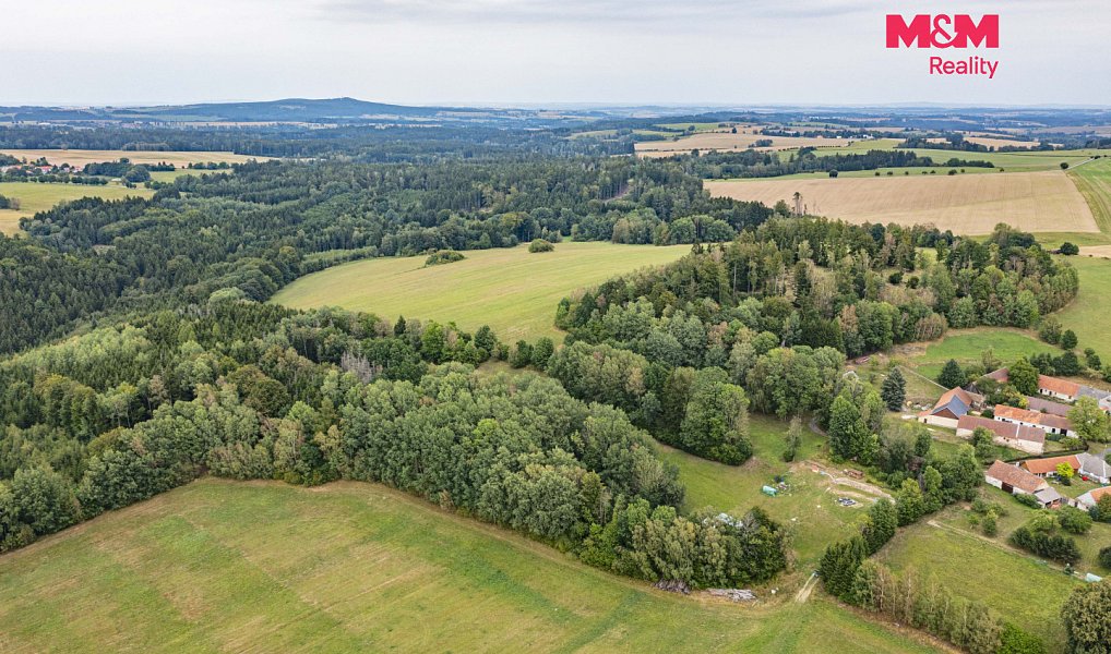 Prodej lesa 715 m², Rodná – náhled fotky 8