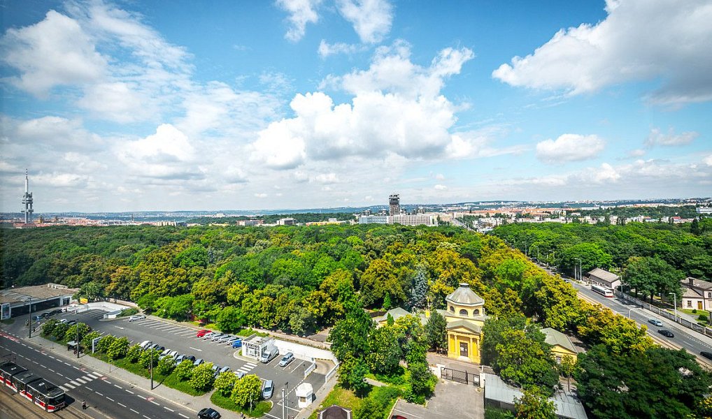 Pronájem kanceláře 150 m², Praha – náhled fotky 5