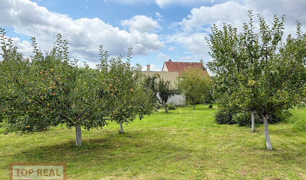Prodej stavebního pozemku 1 439 m², Lutopecny – náhled fotky 4