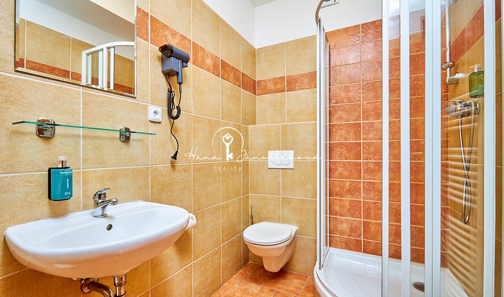 Prodej ubytovacího objektu 270 m², Český Krumlov – náhled fotky 4