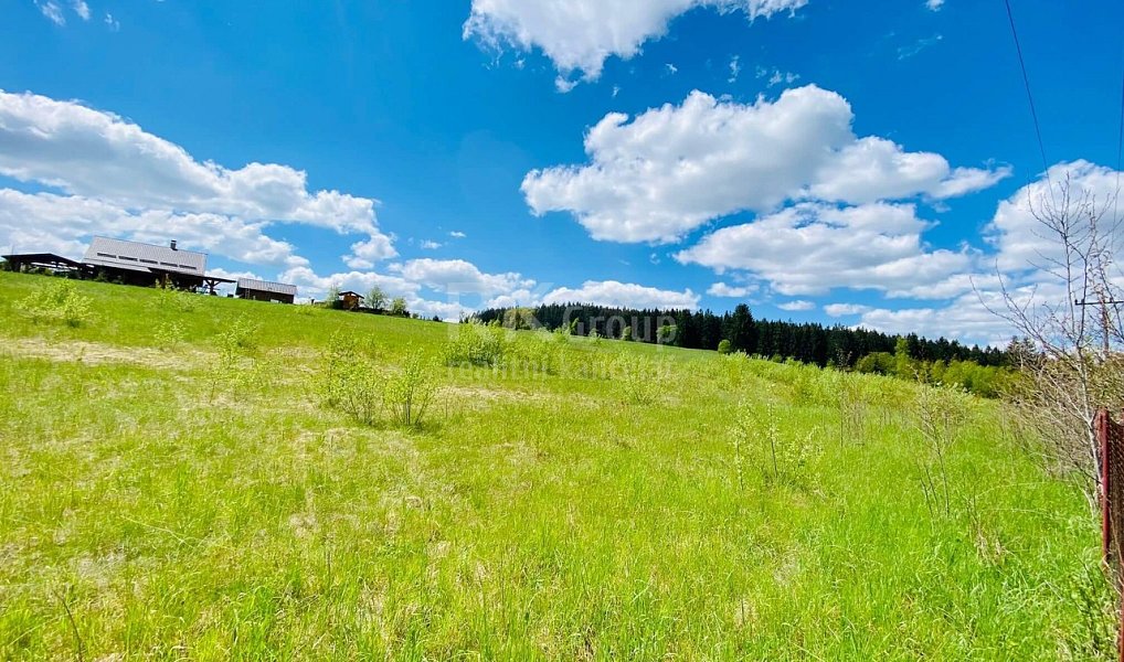 Prodej stavebního pozemku 11 336 m², Velká Hleďsebe – náhled fotky 14