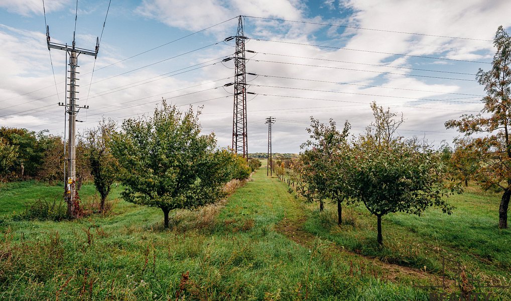 Prodej vinného sklepa s ovocným sadem 956 m2 Mikulčice, Mikulčice – náhled fotky 13
