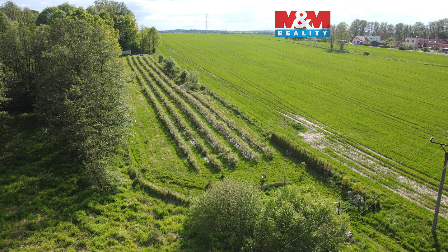 Prodej pole 6 810 m²