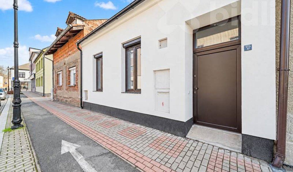 Pronájem bytu 1+1 44 m², Nový Bydžov – náhled fotky 2