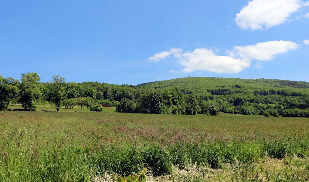 Prodej chaty/chalupy 42 m² s pozemkem 676 m², Zlaté Hory – náhled fotky 22