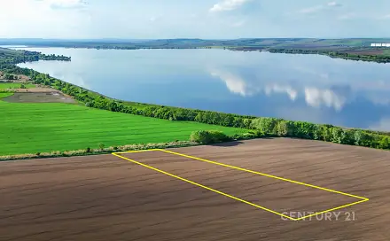 Prodej pole 9 682 m², Pavlov, okres Břeclav