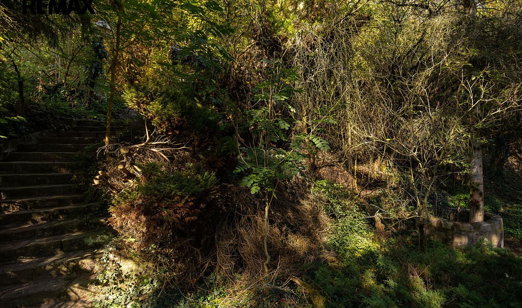 Prodej domu 100 m² s pozemkem 1 708 m², Plzeň – náhled fotky 19