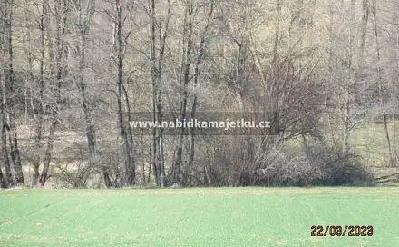Prodej vodní plochy 230 m², Neurazy, okres Plzeň-Jih