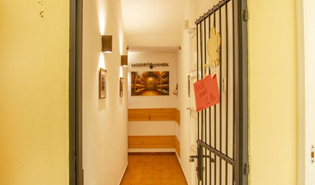 Pronájem obchodních prostor 50 m², Valašské Meziříčí – náhled fotky 13