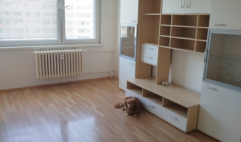 Prodej bytu 2+kk 43 m², Praha – náhled fotky 6