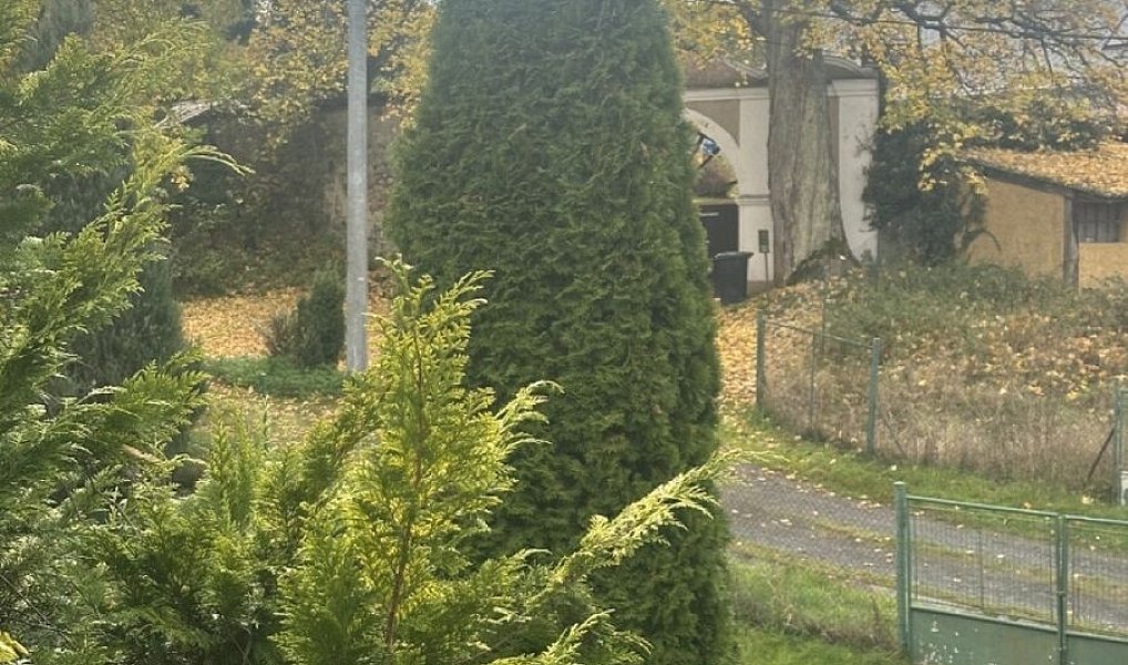 Prodej domu 140 m² s pozemkem 344 m², Teplá – náhled fotky 13