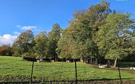Prodej pozemku 2 133 m², Zlaté Hory, okres Jeseník
