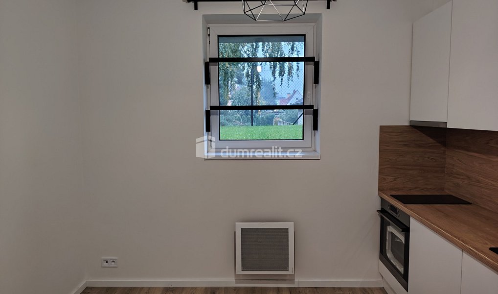 Pronájem bytu 1+kk 21 m², Děčín – náhled fotky 3