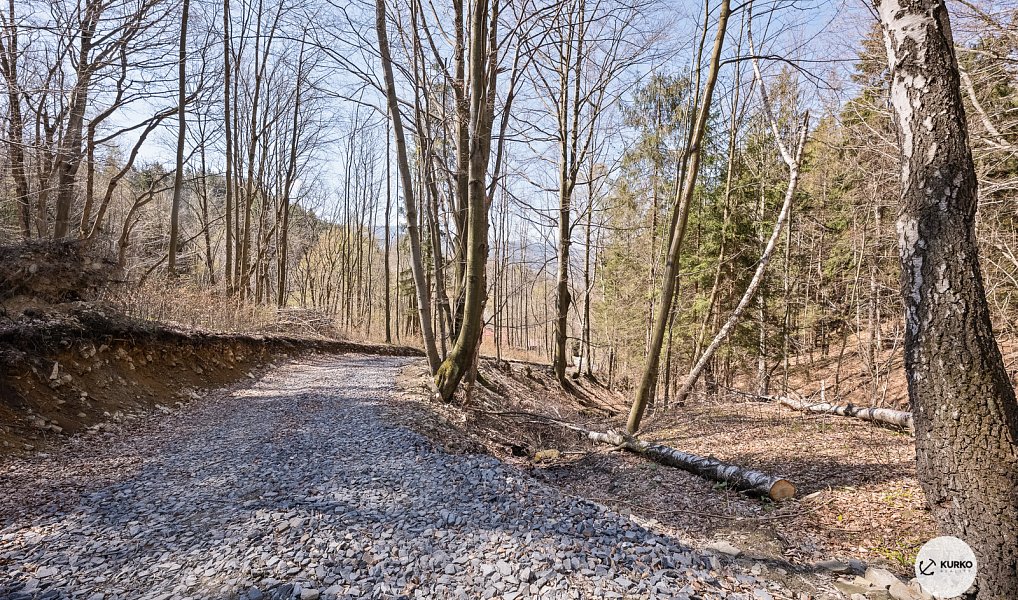 Prodej chaty/chalupy 120 m² s pozemkem 64 360 m², Morávka – náhled fotky 15