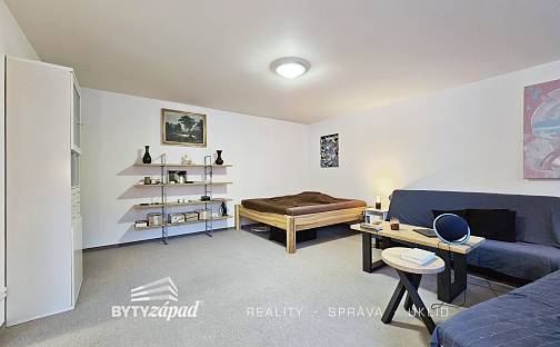Pronájem bytu 1+1 50 m², Tomkova, Praha 5 - Smíchov