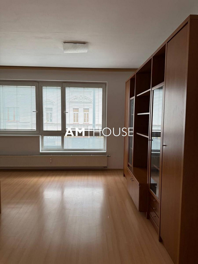 Pronájem bytu 1+kk 29 m² – fotografie 3