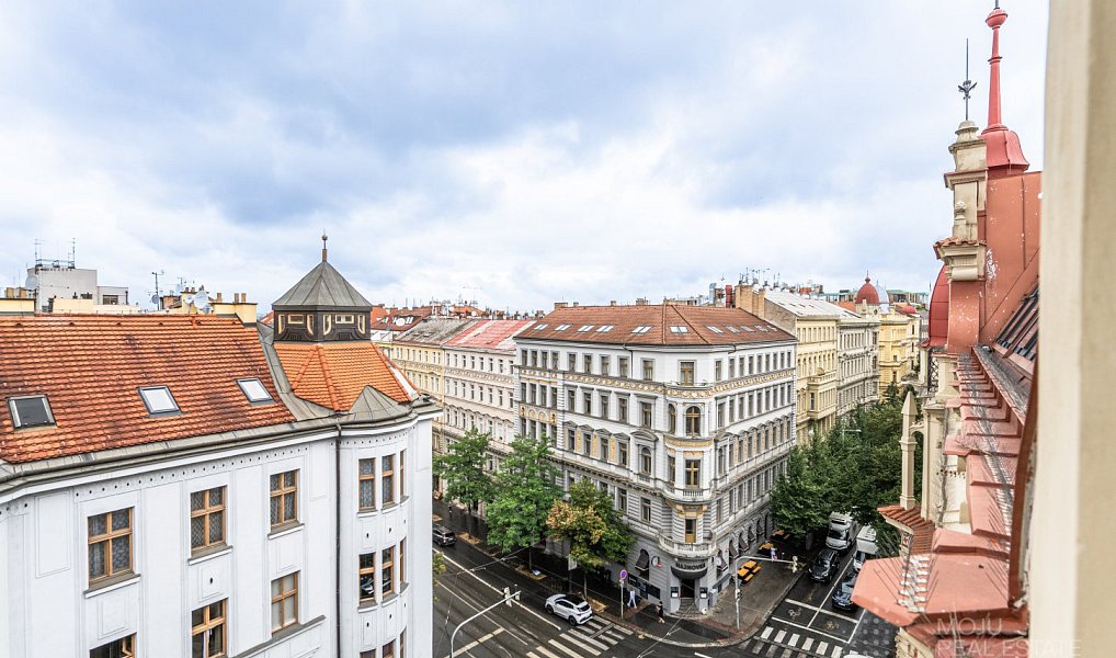 Pronájem bytu 4+1 227 m², Praha – náhled fotky 20