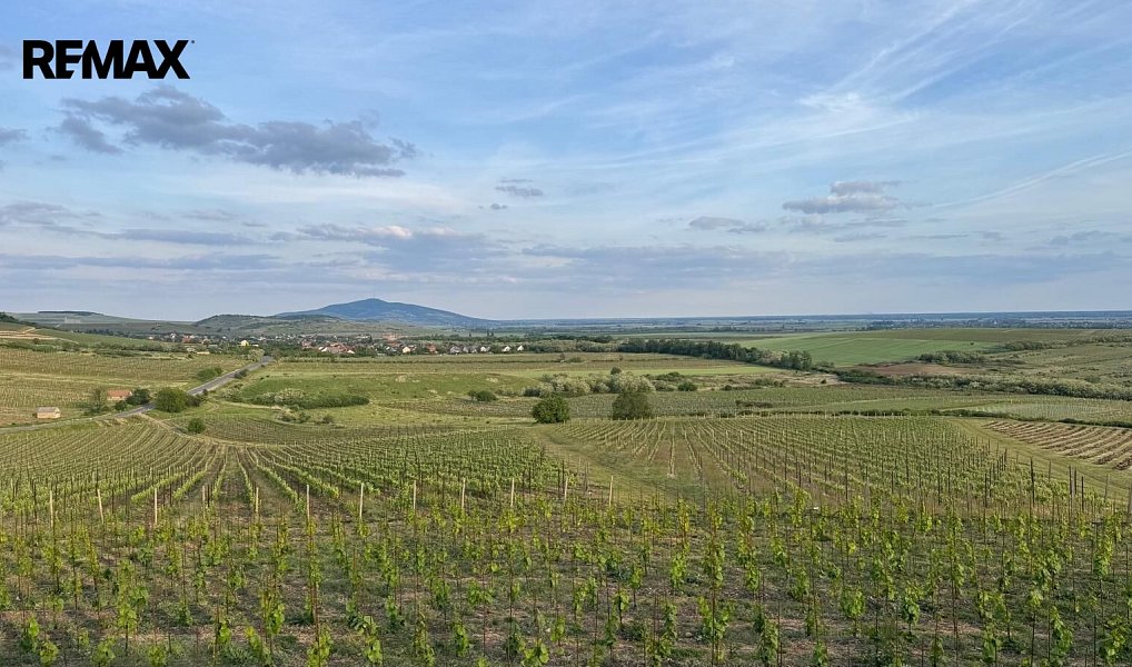 Prodej ubytovacího objektu 2 000 m², Olomouc – náhled fotky 6