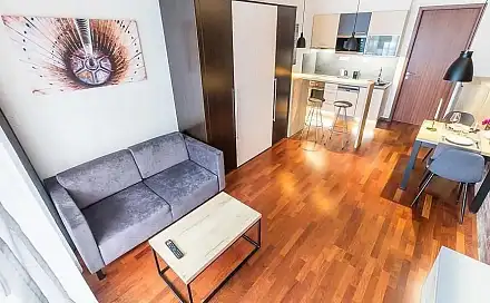 Pronájem bytu 1+kk 31 m², Svatoplukova, Praha 2 - Nusle