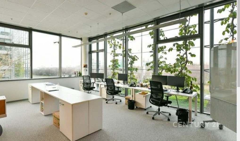 Pronájem kanceláře 1 047 m², Praha – náhled fotky 5