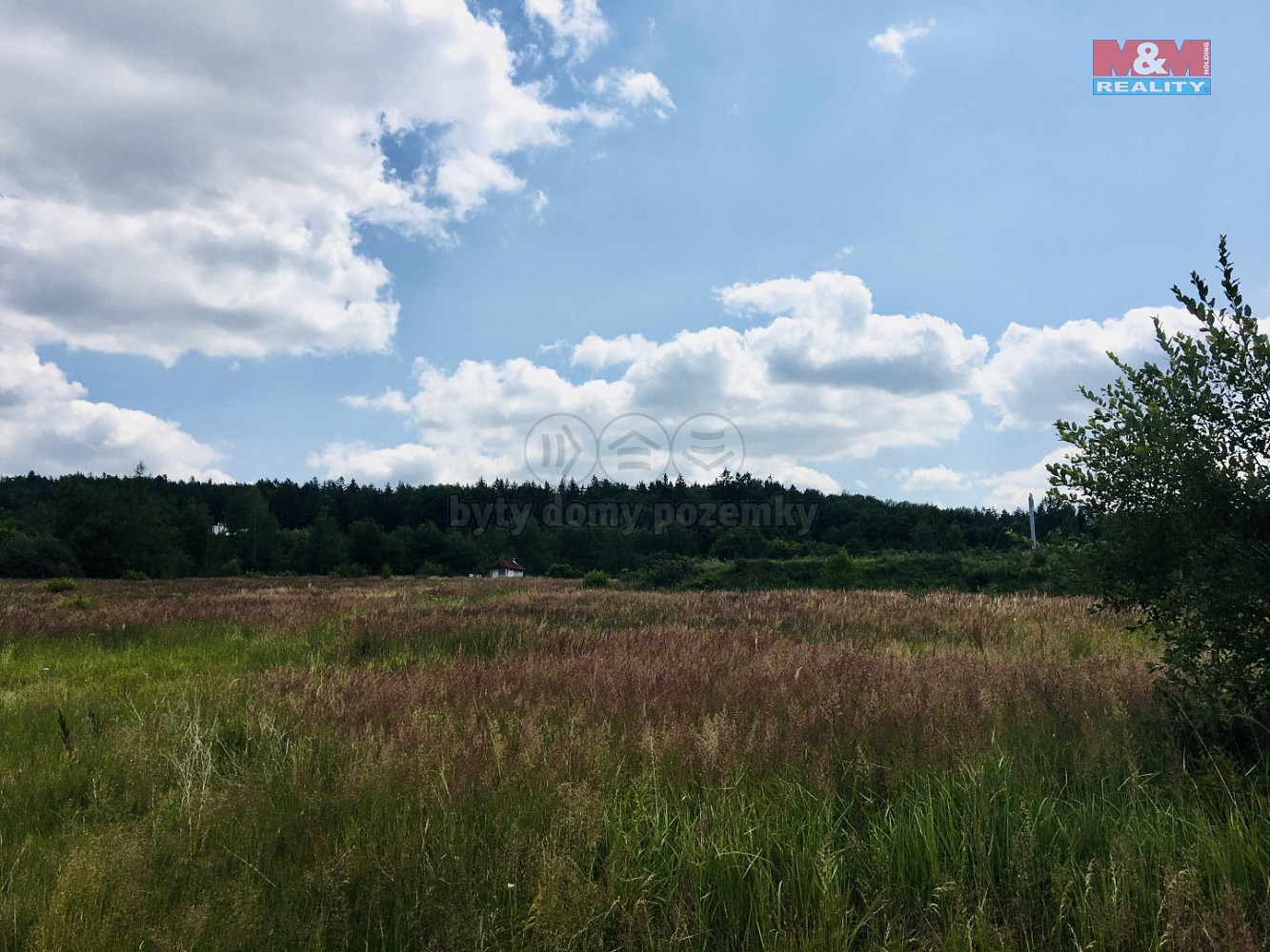 Prodej pole 2 693 m² – fotografie 2