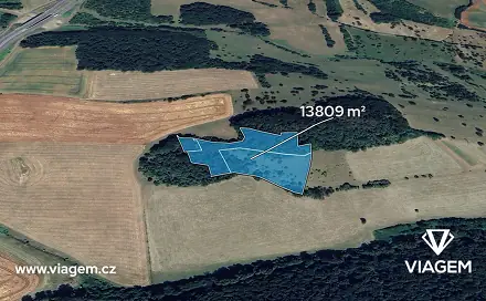 Prodej lesa 2 761 m², Prackovice nad Labem, okres Litoměřice