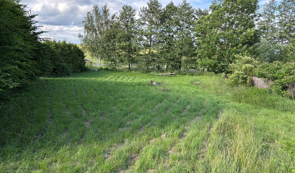 Prodej domu 180 m² s pozemkem 2 504 m², Damníkov – náhled fotky 14