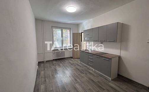 Pronájem bytu 1+kk 24 m², Palackého, Třinec - Lyžbice, okres Frýdek-Místek
