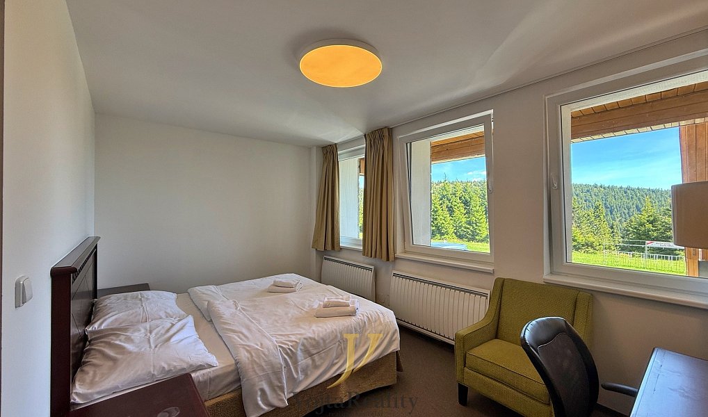 Prodej bytu 1+kk 26 m², Loučná nad Desnou – náhled fotky 2
