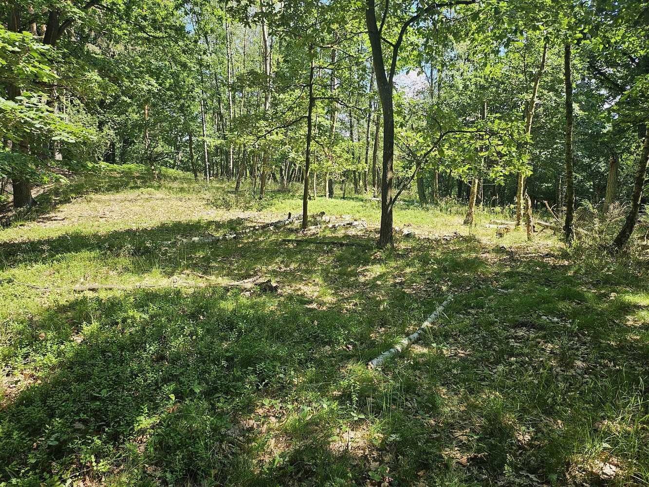 Prodej pole 3 244 m² — photo 5