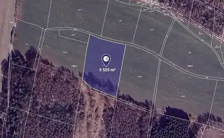 Prodej pole 5 525 m², Ludmírov, okres Prostějov
