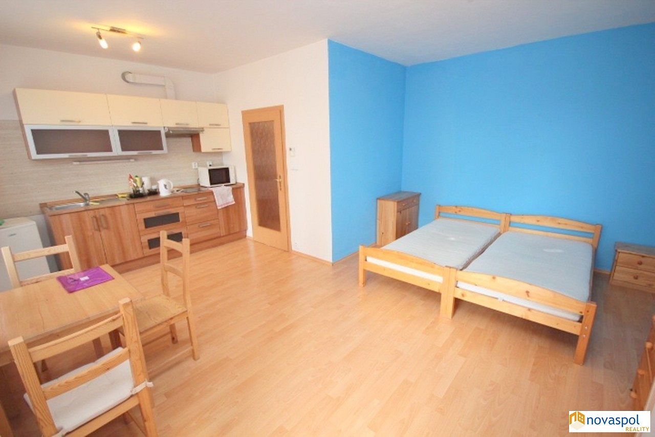 Pronájem bytu 1+kk 37 m² — photo 4