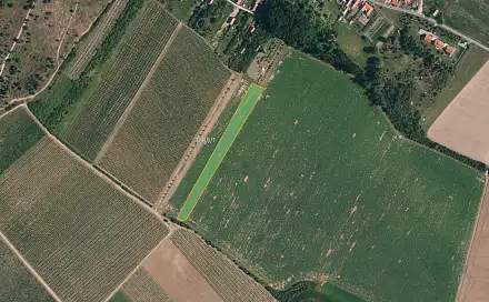 Prodej pole 7 141 m², Znojmo - Popice