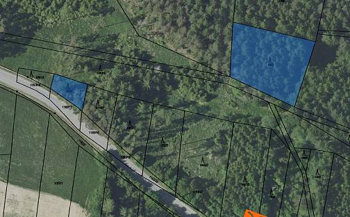 Prodej lesa 4 721 m², Zvěstov, okres Benešov