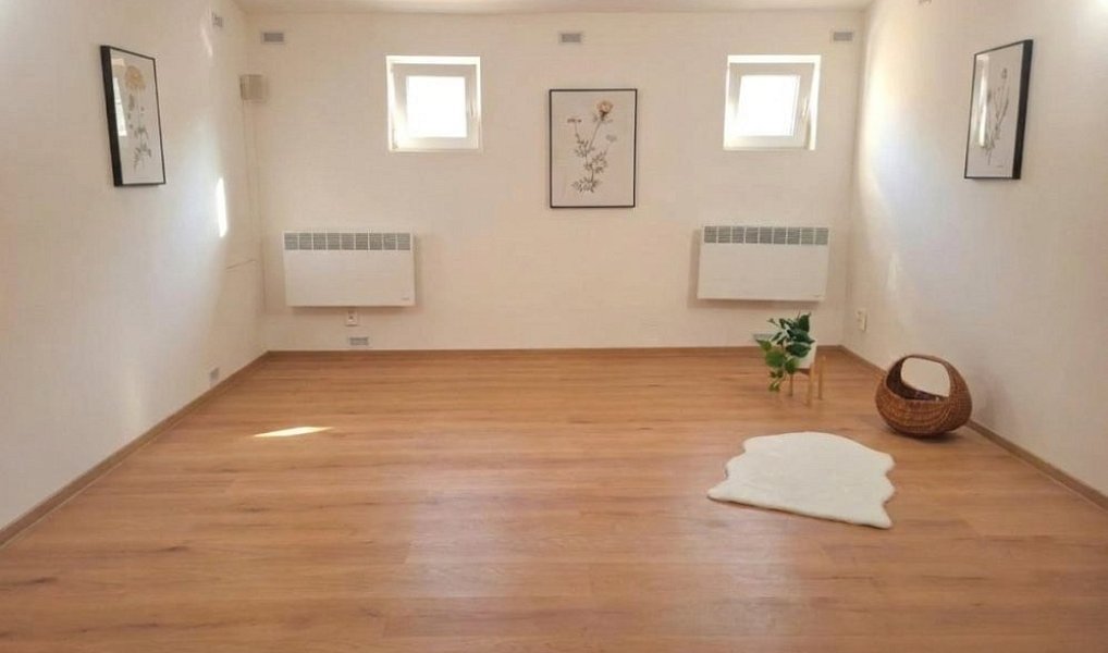 Prodej obchodních prostor 62 m², Brno – náhled fotky 2
