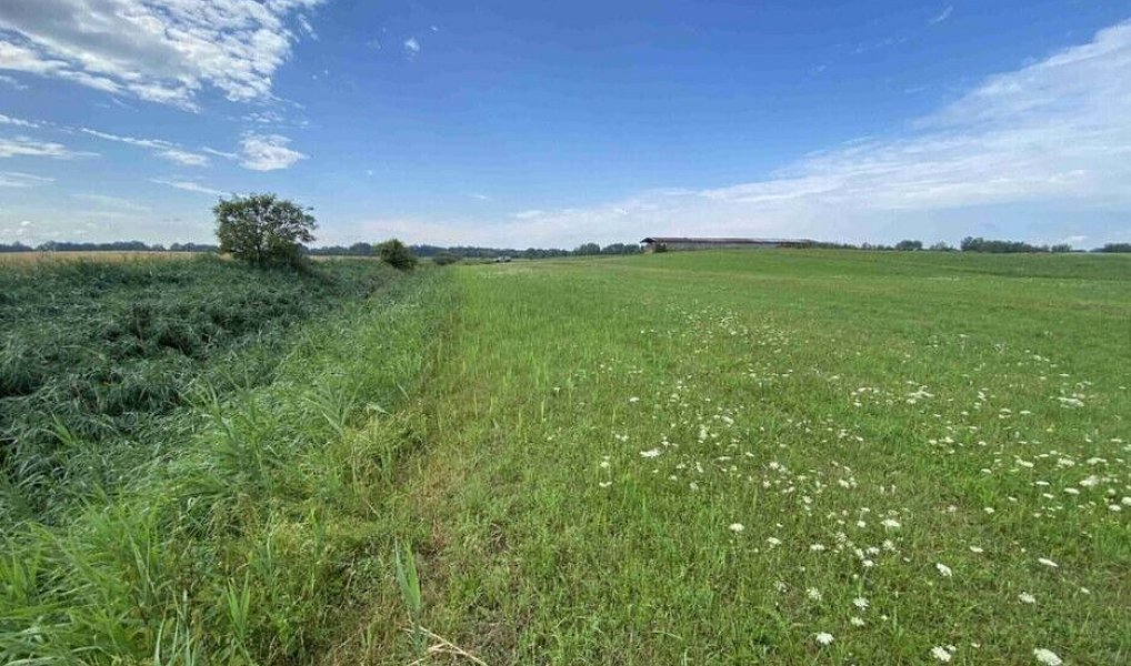 Prodej pole 16 506 m², Lomnice nad Lužnicí – náhled fotky 3