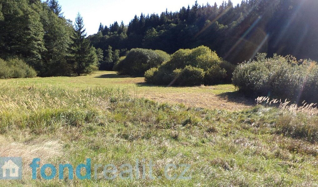 Prodej pozemku 4 992 m², Studená – náhled fotky 3