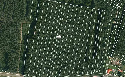 Prodej lesa 2 085 m², Dražíč, okres České Budějovice