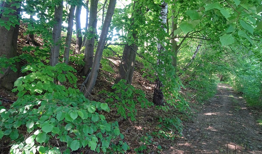 Pronájem pozemku 1 000 m², Valy – náhled fotky 9