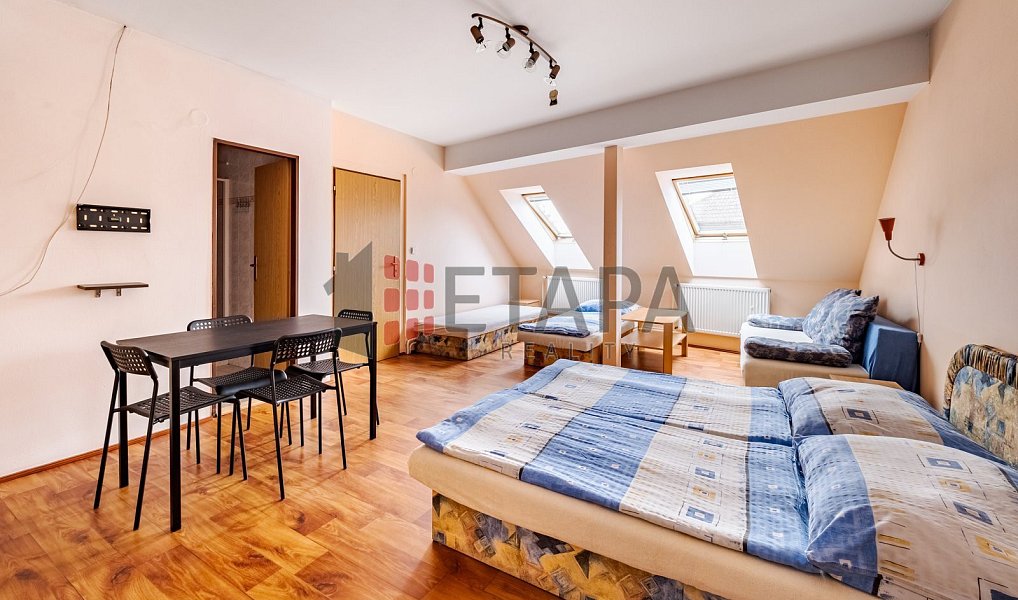 Prodej ubytovacího objektu 432 m², Ražice – náhled fotky 13