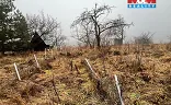 Ostatní