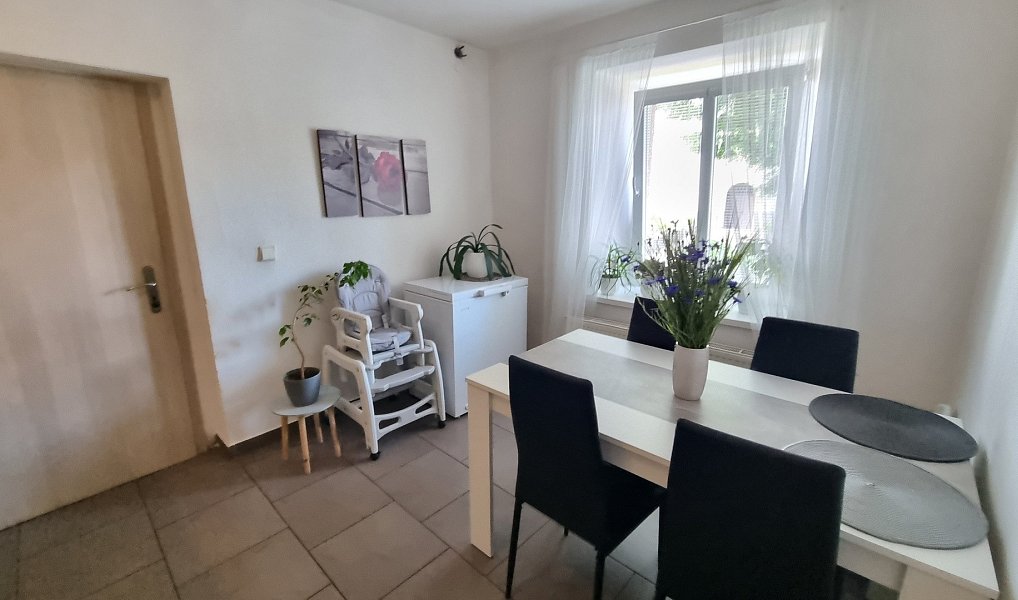 Prodej domu 200 m² s pozemkem 1 325 m², Žďárná – náhled fotky 5