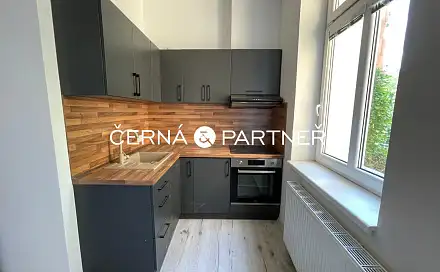 Pronájem bytu 1+1 33 m², Doubravská, Teplice - Trnovany