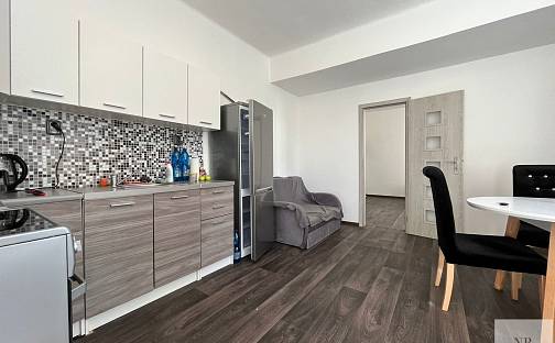 Pronájem bytu 1+1 36 m², Chebská, Karlovy Vary - Dvory