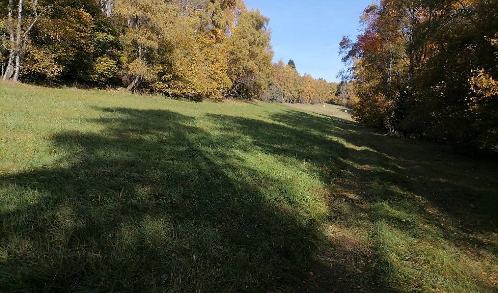 Prodej louky, 25304 m², Zahrádka - Český Krumlov, Rožmitál na Šumavě