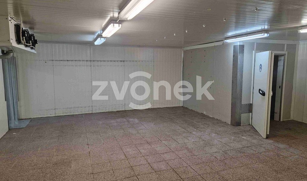 Pronájem výrobních prostor 780 m², Uherské Hradiště – náhled fotky 14