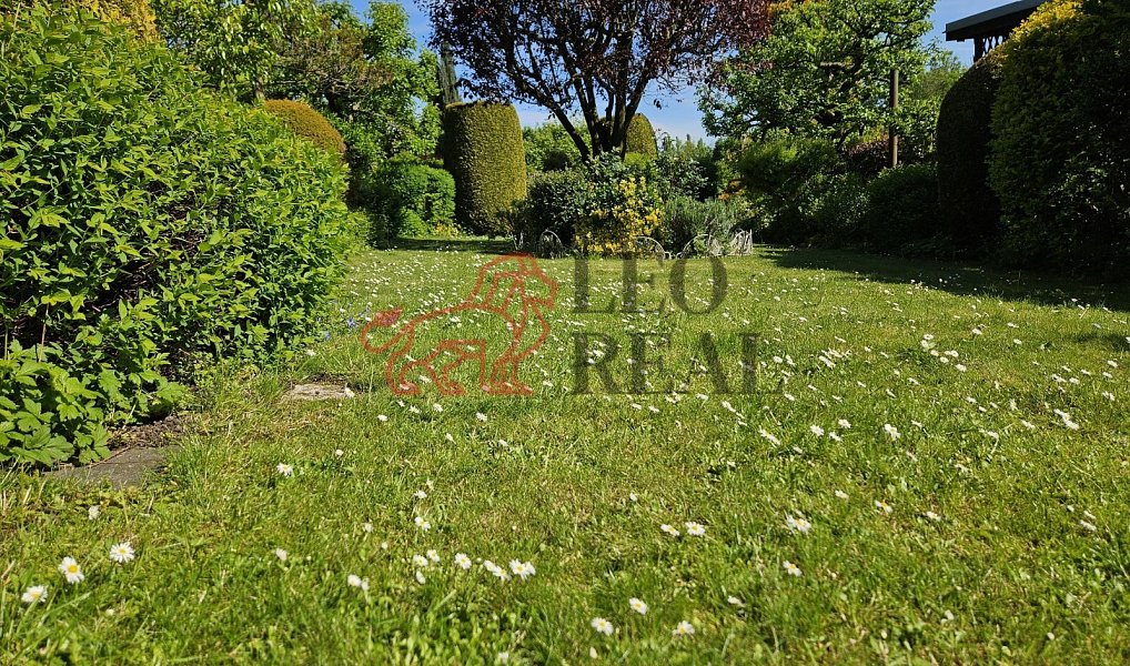 Prodej chaty/chalupy 11 m² s pozemkem 300 m², Šenov u Nového Jičína – náhled fotky 4