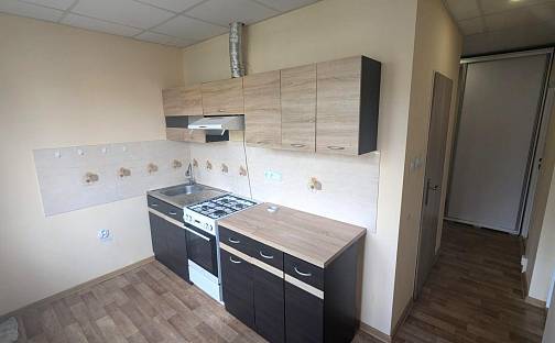 Pronájem bytu 2+1 55 m², M. Švabinského, Bílina - Teplické Předměstí, okres Teplice
