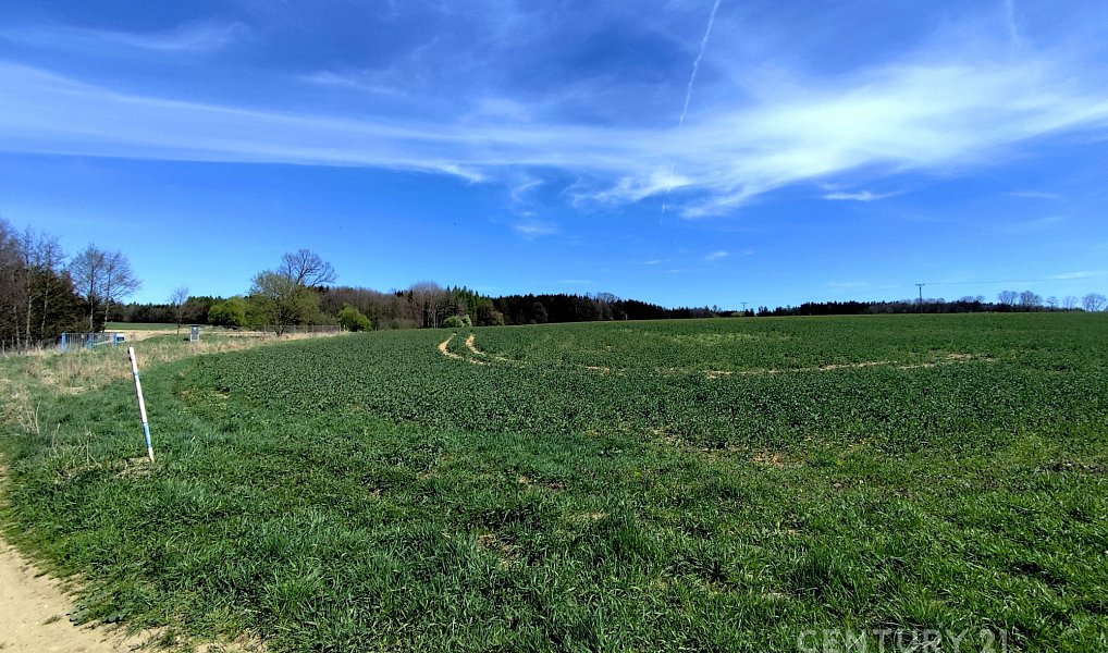 Prodej pole 40 119 m², Nová Včelnice – náhled fotky 5